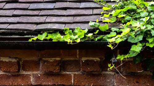 Repair and restoration of cast iron gutters and pipes