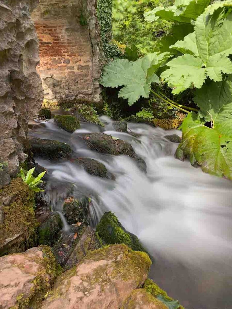 Dunster-Castle-watermill_Dunster-castle-conservation-and-repair