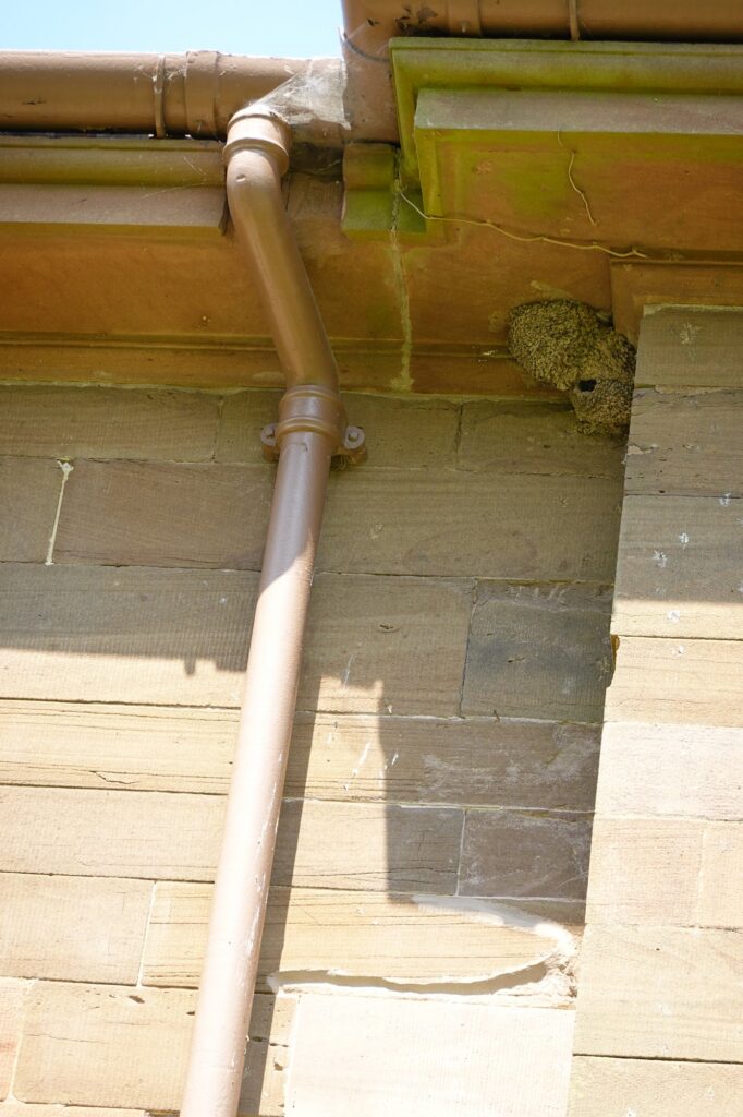 Cast iron gutter and downpipe at eaves level, stone parapet, weathered finish