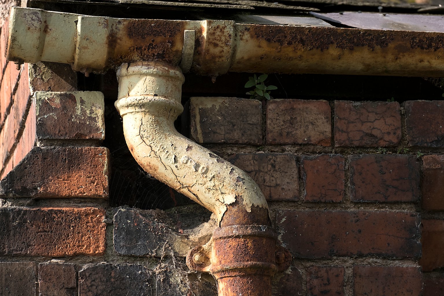 Cast iron half round gutter and downpipe offset on a red brick wall with rust breaking through the paint, flaking finish and a cracked socket joint, showing typical signs of failing cast iron guttering