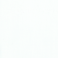 Great-White-300×300 Great-White-300x300